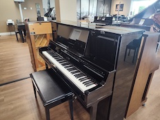 Yamaha WX1F